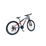 vélo Shwenda